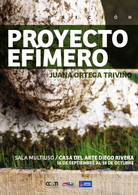 proyecto efimero