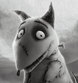 frankenweenie