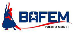 logo-bafem 300