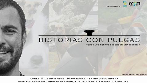 historias con pulga 478x177