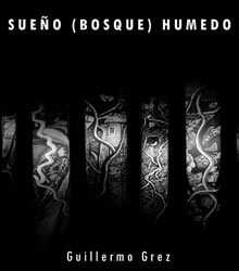 sueno bosque humedo 220