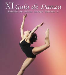 xi gala de danza 220