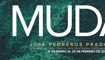 Afiche-Muda480x200