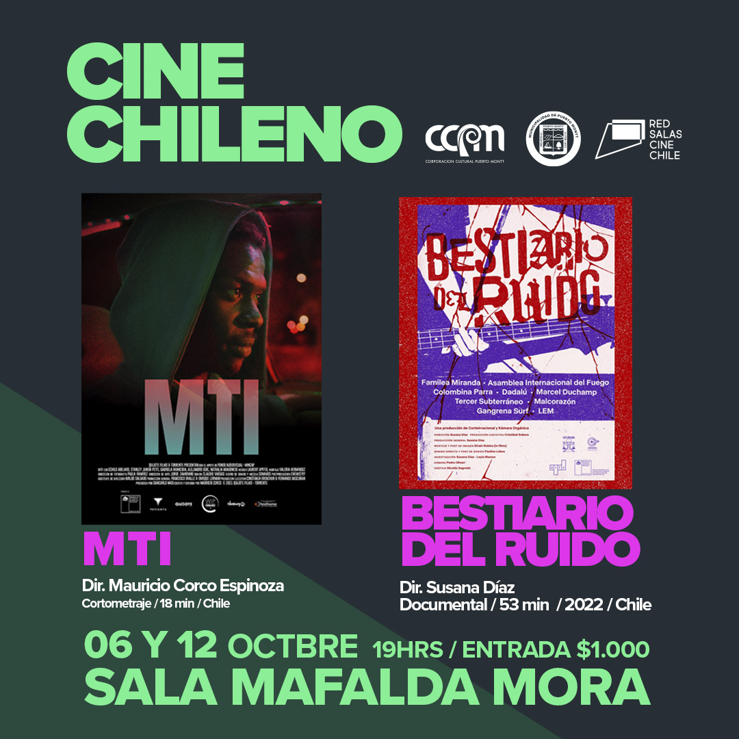 feed cine chileno copia