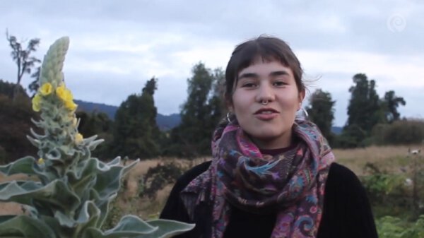 Taller de Plantas y Alquimias medicinales de Josefa Mesías Salazar