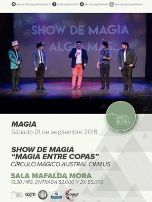 Show Magia entre copas