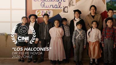 los halcones