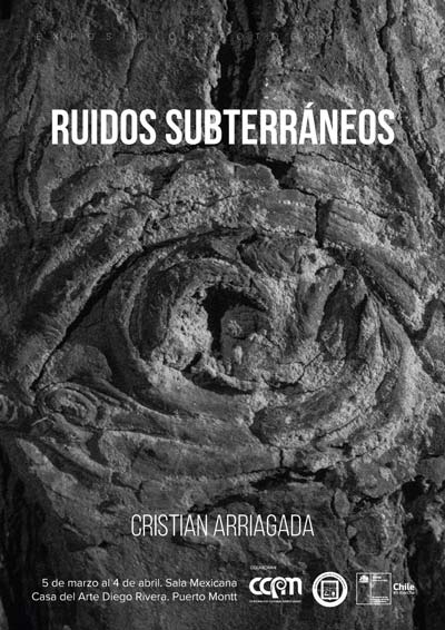 ruidossubterraneos afich