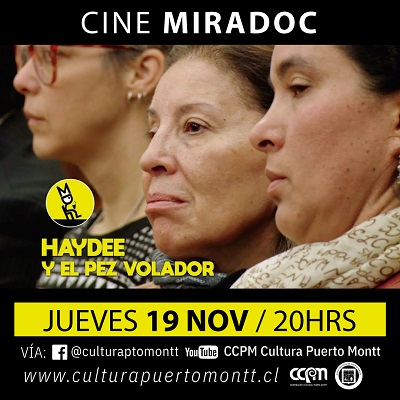 miradoc haydee