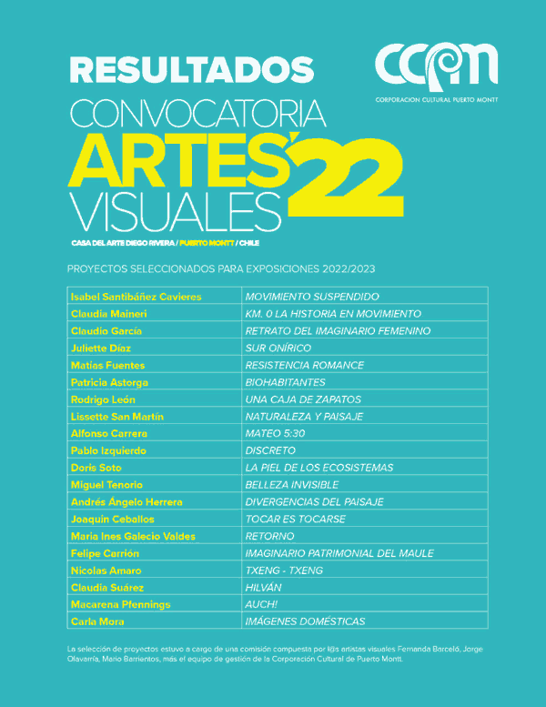 resultado convocatoria artes visuales