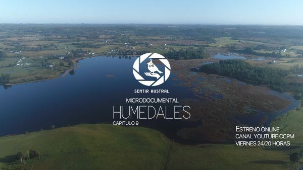 humedales