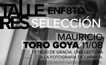 toro goya web